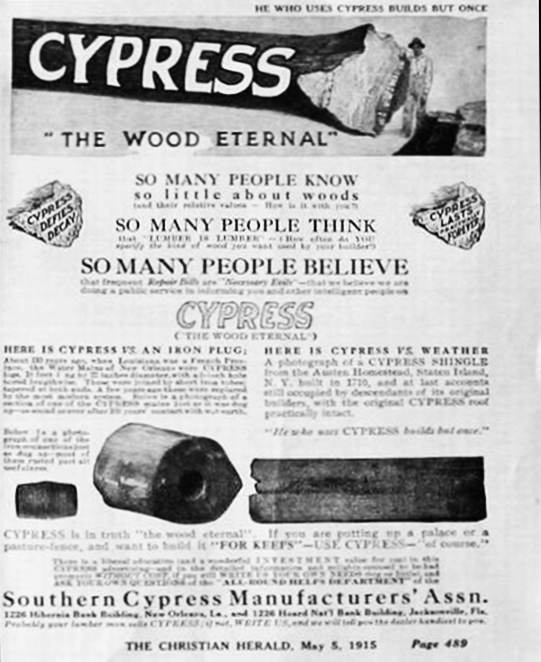 1915Cypress.jpg