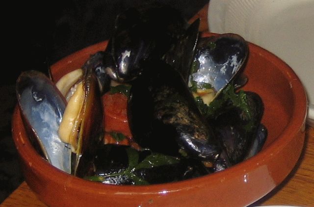 Mussels.jpg